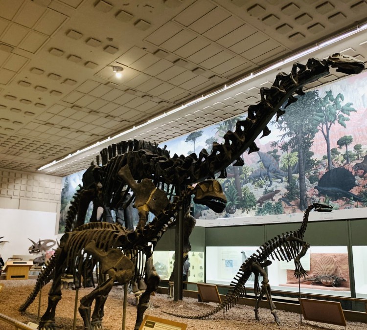 Yale Peabody Museum (New&nbspHaven,&nbspCT)